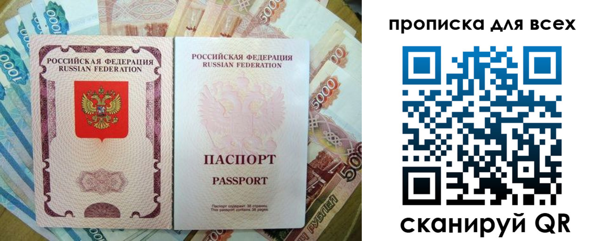 прописка гарантия в Ногинске